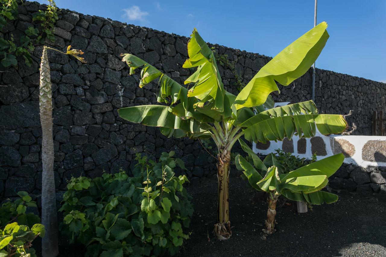 Villa El Jable Lanzarote Teguise  Exterior foto